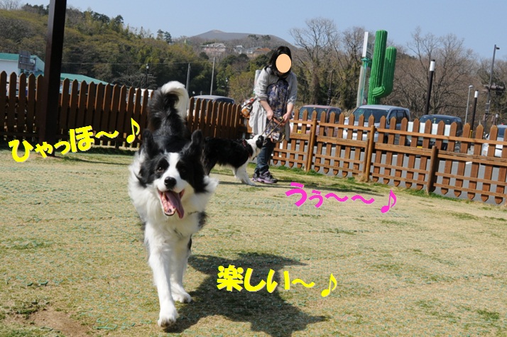 c0147241_132494.jpg