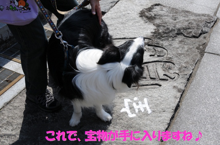 c0147241_13252973.jpg