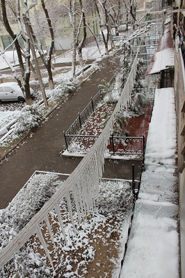 d0195041_5141498.jpg