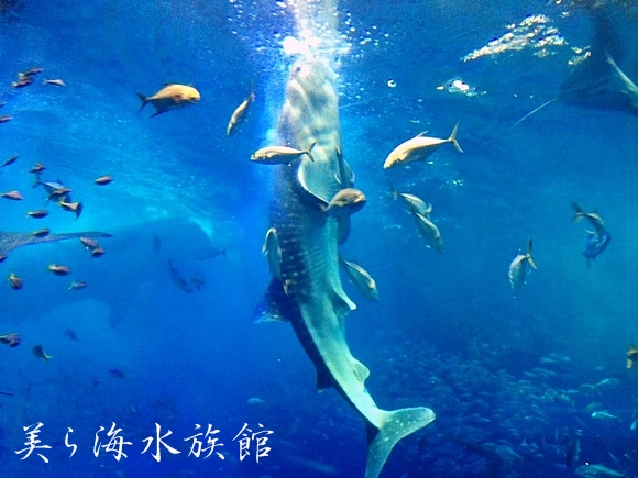 d0168442_22294090.jpg