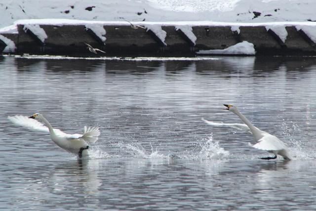b0242358_16175981.jpg