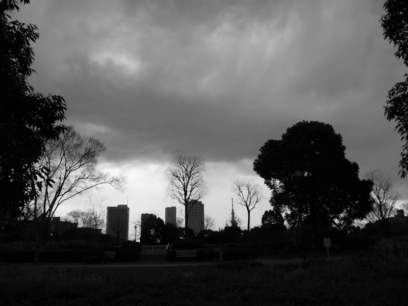 b0122664_20573264.jpg