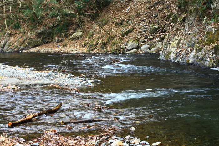 f0235668_21314696.jpg