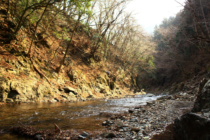 f0235668_21315664.jpg