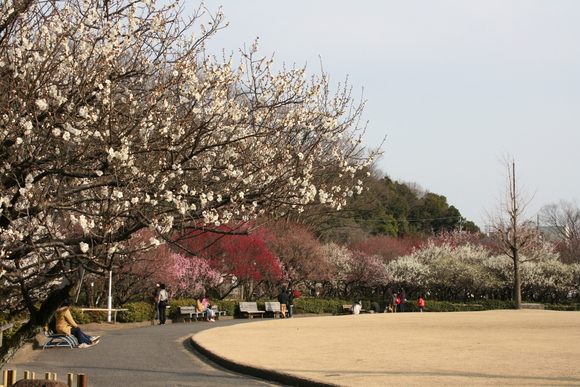 c0248269_11563733.jpg