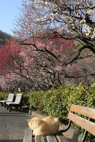 c0248269_1253293.jpg