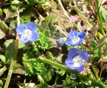 e0085772_9551084.jpg