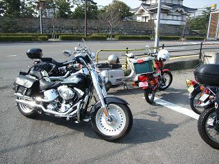 a0064474_1714133.jpg