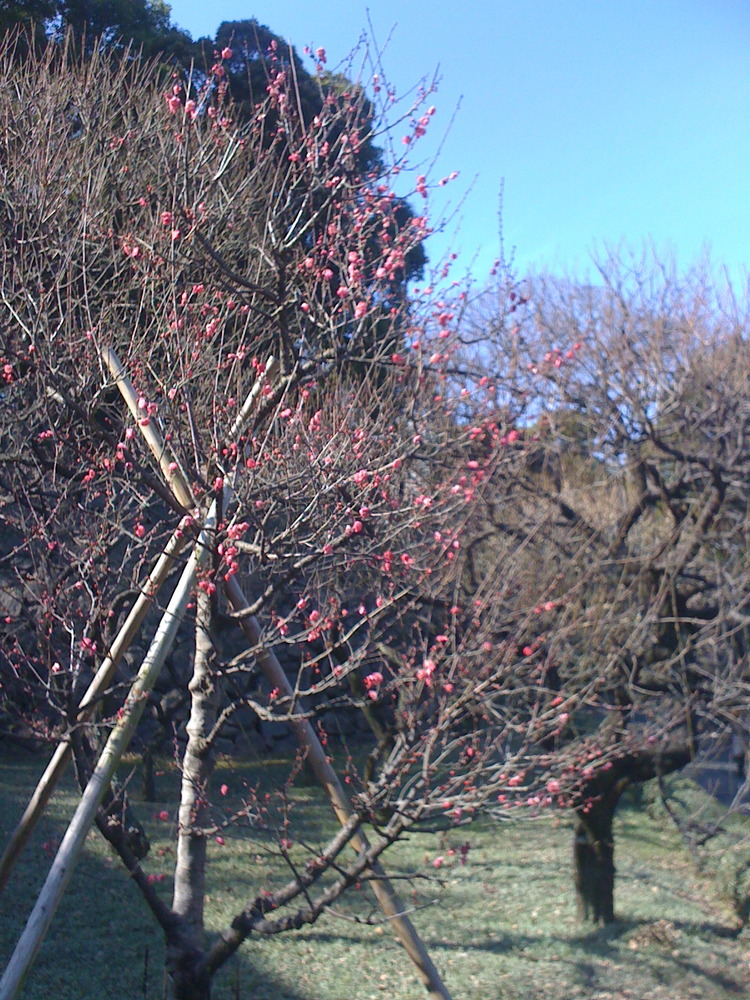b0055976_7412550.jpg