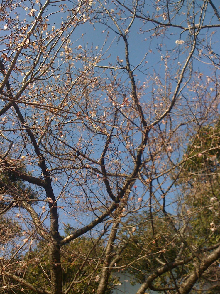b0055976_7432681.jpg