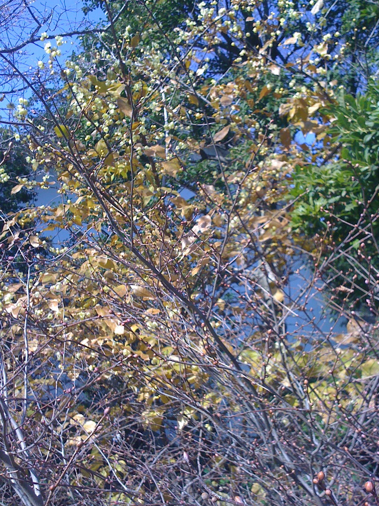 b0055976_7433770.jpg