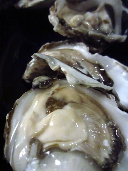 f0056476_1610118.jpg