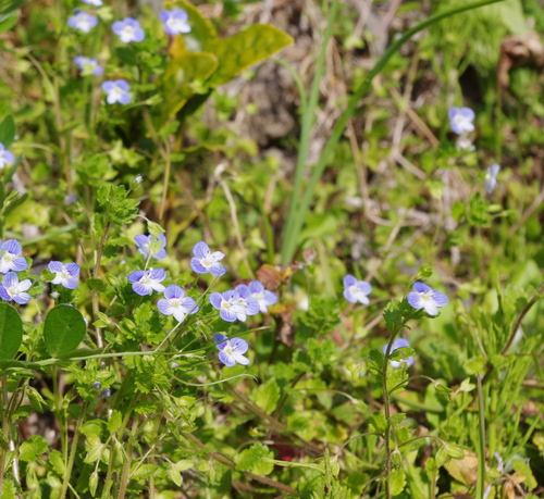f0054677_9305162.jpg