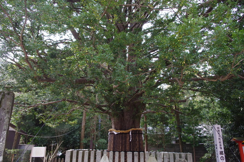 f0054677_9323944.jpg