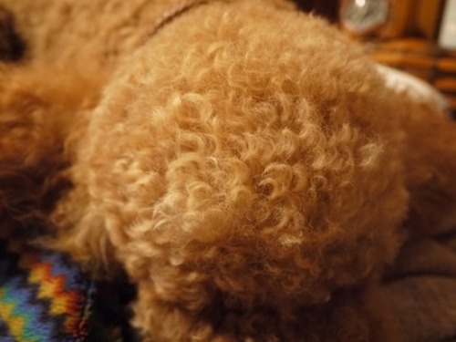 c0283778_16102516.jpg