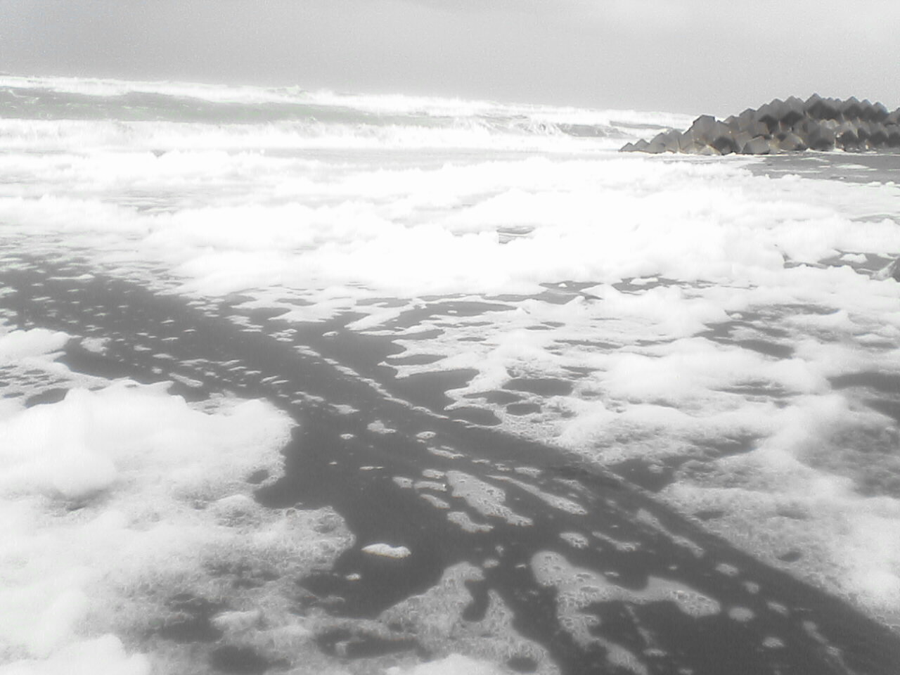 c0069380_12514093.jpg