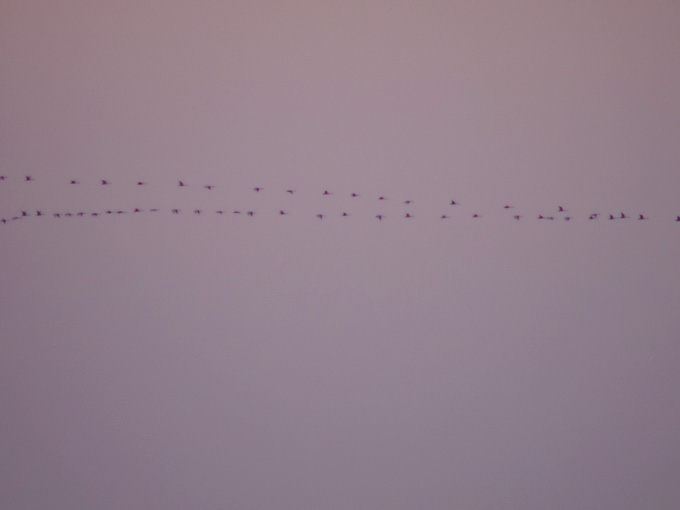 e0082981_04236.jpg