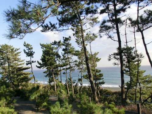 e0123587_21371530.jpg