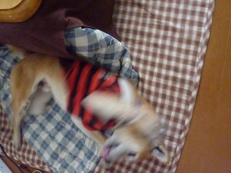 c0123890_22198.jpg