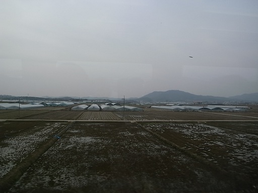 e0043700_1943486.jpg