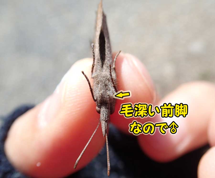 e0253104_2259310.jpg