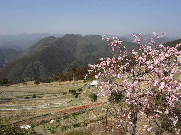 a0243305_8134688.jpg