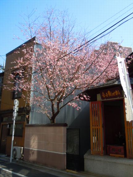 f0218107_207375.jpg