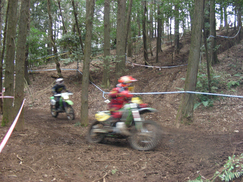 c0223419_1454881.jpg