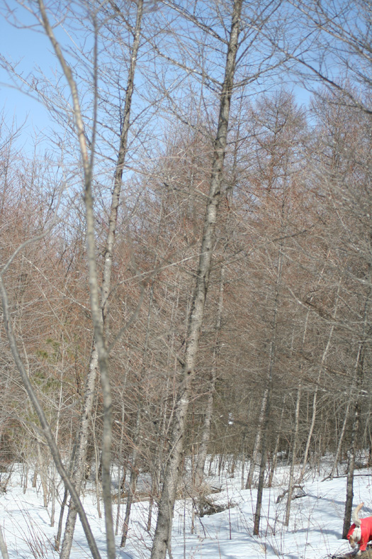 e0244621_11295017.jpg
