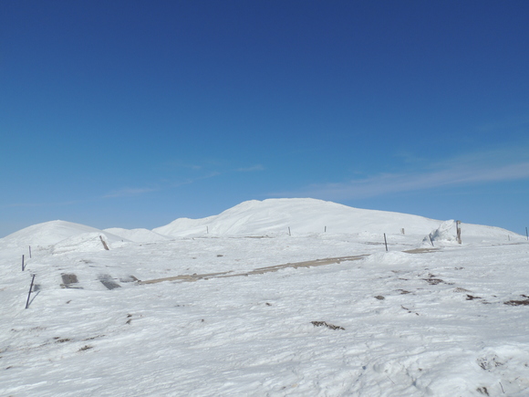 f0118332_22422389.jpg