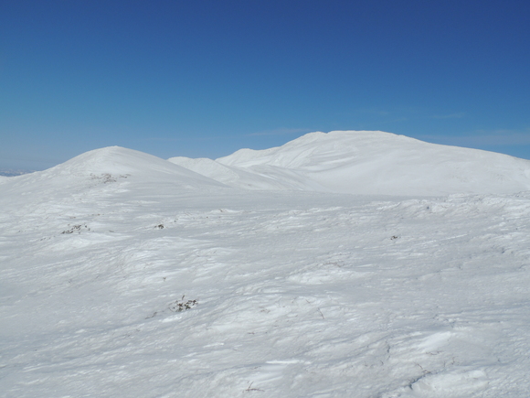 f0118332_2248123.jpg