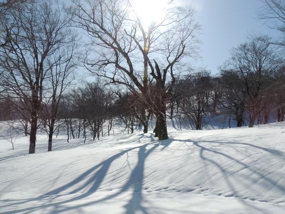 f0118332_230923.jpg