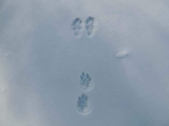 f0118332_2310546.jpg