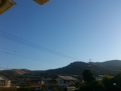 a0116538_7404618.jpg