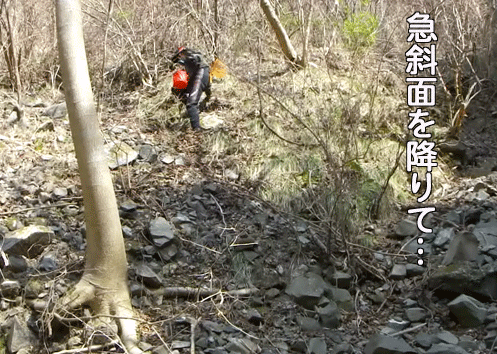 a0056140_17193925.gif