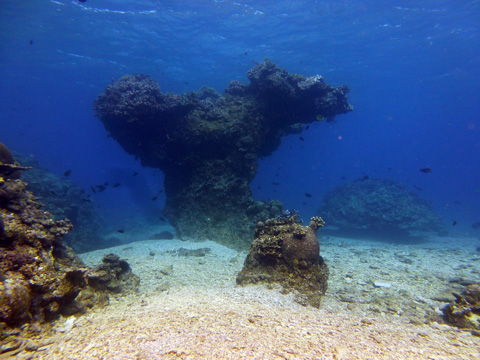 f0014842_172330.jpg