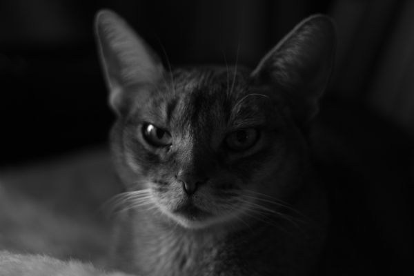 f0234644_15383680.jpg