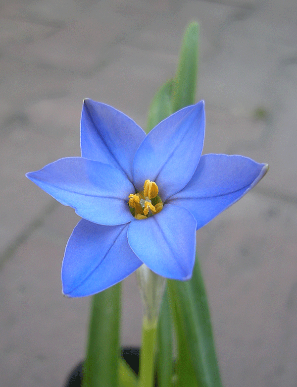a0001354_2249344.gif