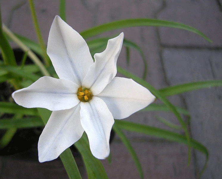 a0001354_22495644.gif