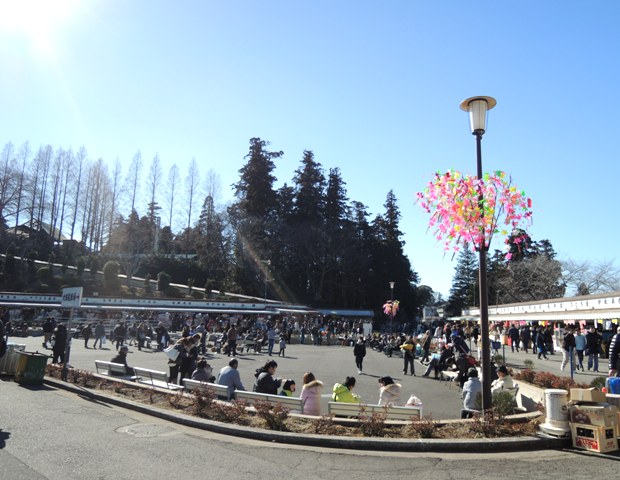 b0173754_1214658.jpg