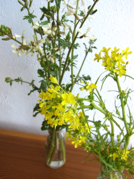c0224154_11242669.jpg