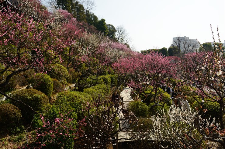 f0222161_14101092.jpg