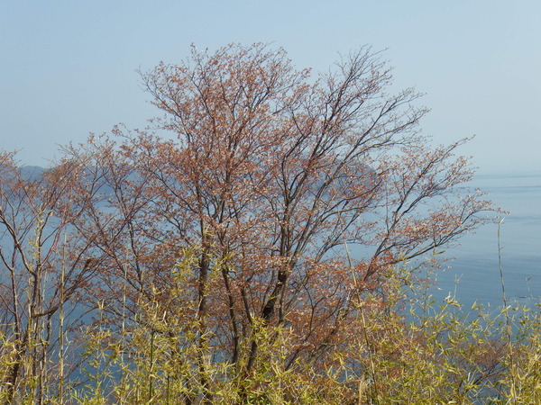 a0112066_13331147.jpg