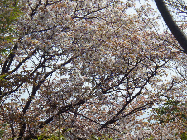 a0112066_13352640.jpg
