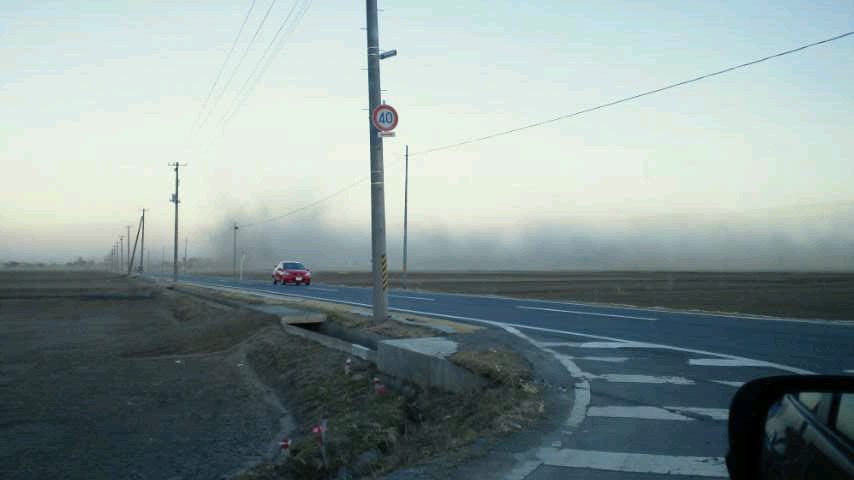 a0267766_883368.jpg