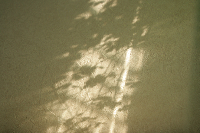 d0109568_16413844.jpg