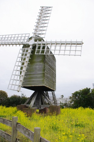 e0045768_2293725.jpg