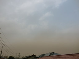 e0063270_17173777.jpg