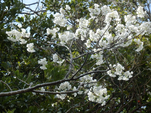 e0292172_2083545.jpg