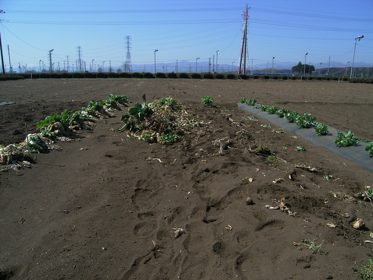 d0225575_15585145.jpg